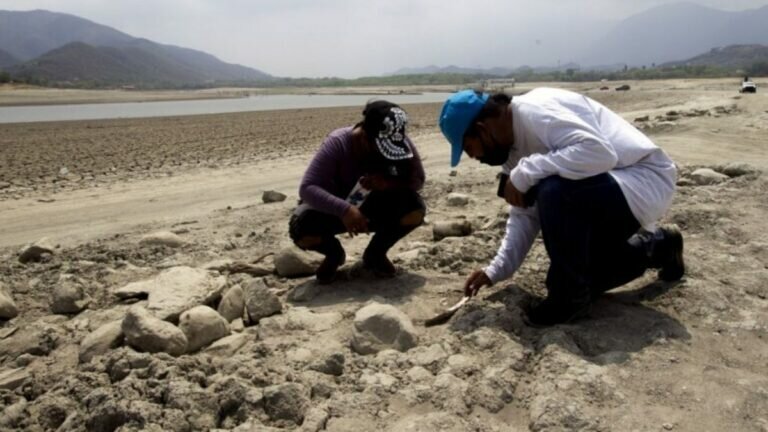 Ayuda INE a identificar a más de 16 mil desaparecidos