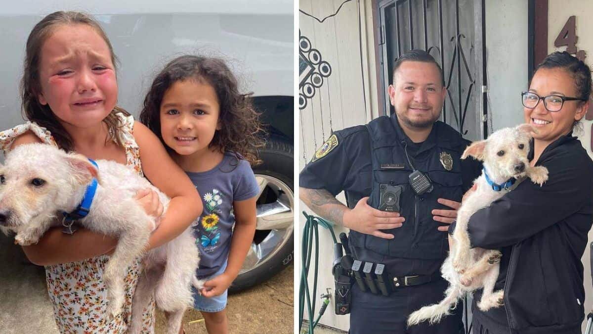 Llora niña al encontrar a su perrito perdido