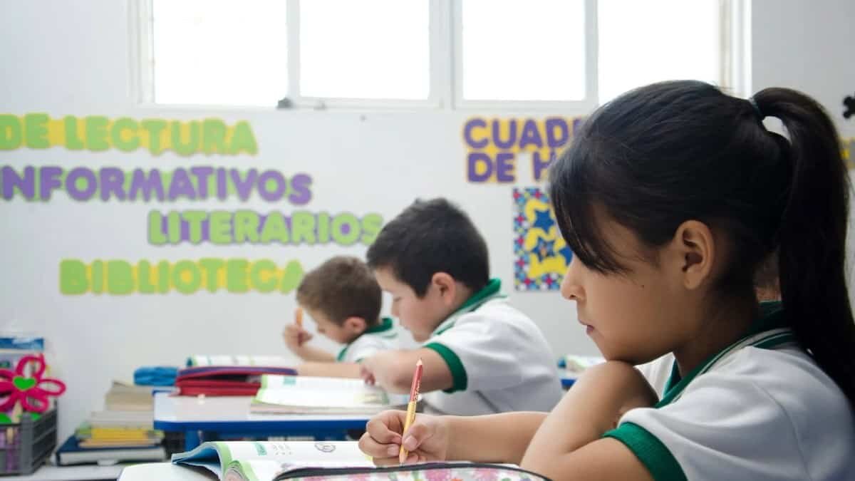 Sabías que gracias a la visión de empresarios, proyectos como las Escuelas SER son posibles y que miles de niños tienen la oportunidad de aprender con el más alto nivel educativo.