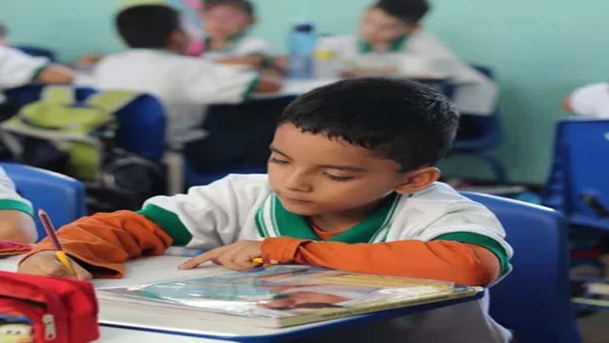 Sabías que gracias a la visión de empresarios, proyectos como las Escuelas SER son posibles y que miles de niños tienen la oportunidad de aprender con el más alto nivel educativo.