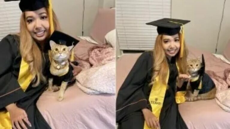 Se gradúa gatita tras asistir a todas las clases en línea
