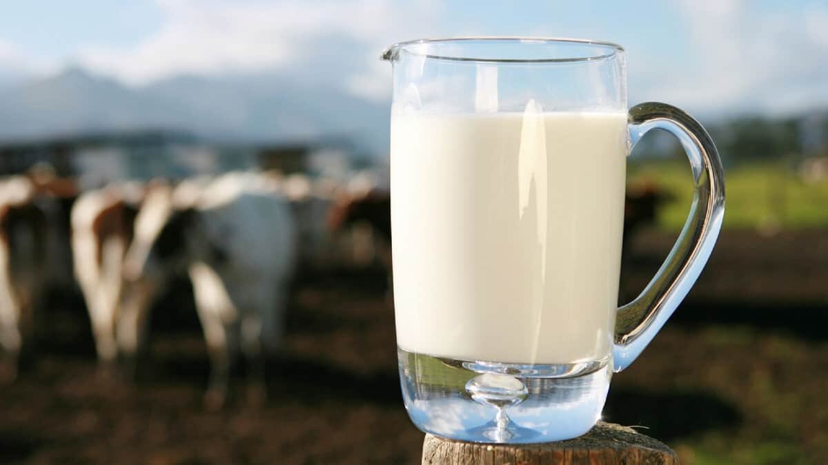 Durante el Día Mundial de la Leche distintas organizaciones y empresas se unen para que las personas más vulnerables tengan acceso a este poderoso alimento.