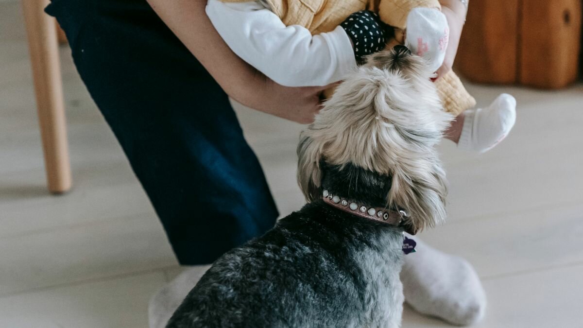 ¡Traición! Mujer elije nombre para su bebé y 'mejor amiga' se lo pone a su perro