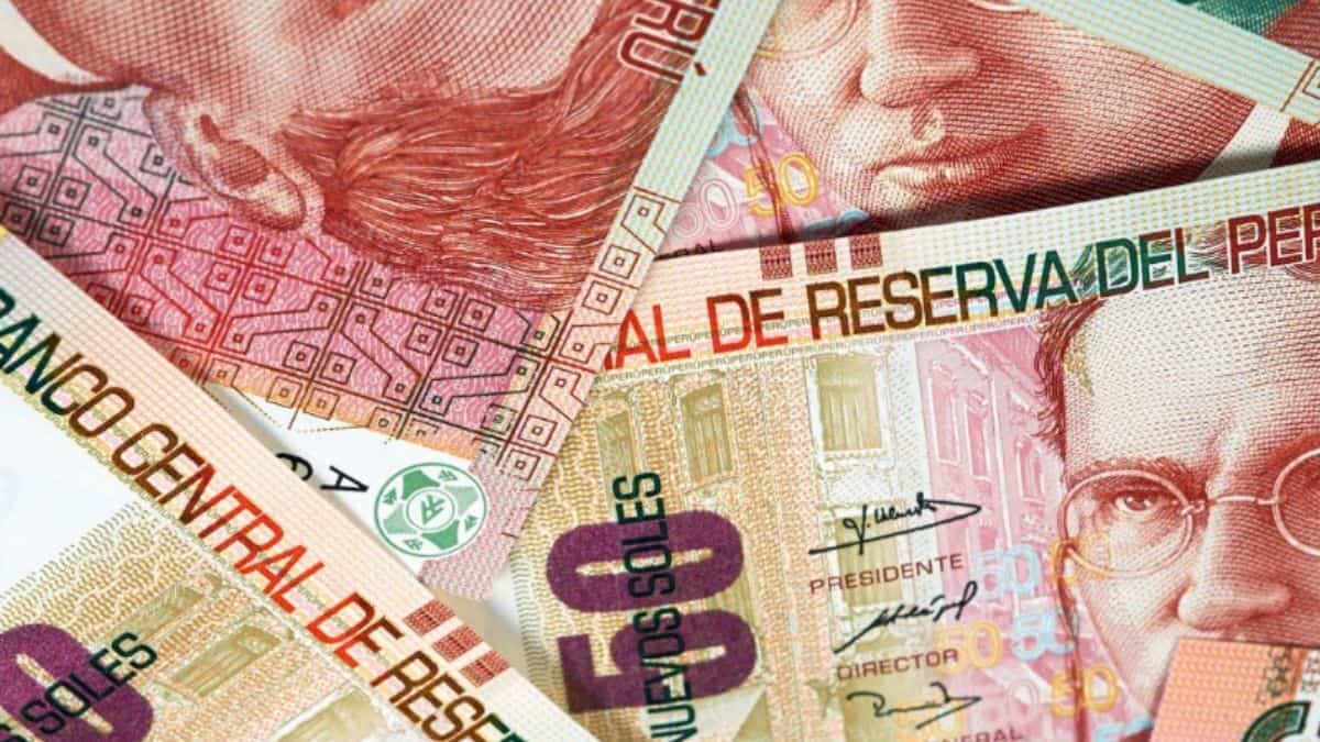 Destruye rata más de 15 mil pesos de ahorros (Video)