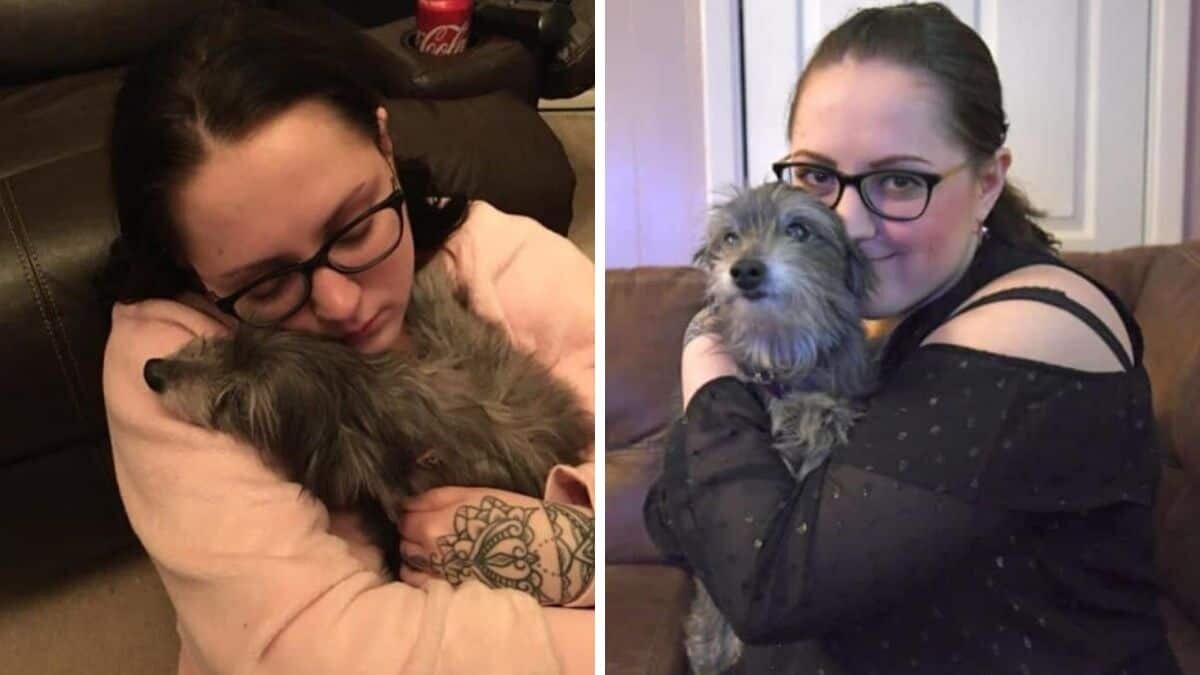 Mujer adopta a perrita adulta y descubre que es la amiga que perdió de niña