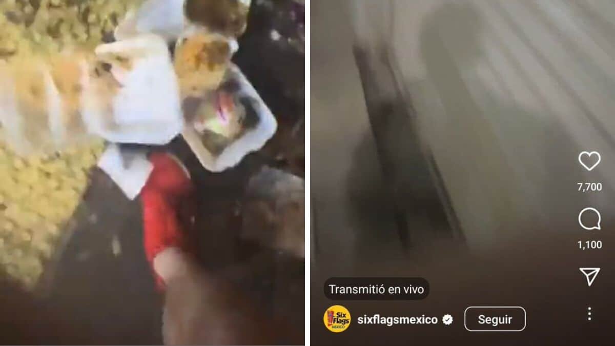 Desconcierta extraña transmisión de Six Flags (Video)