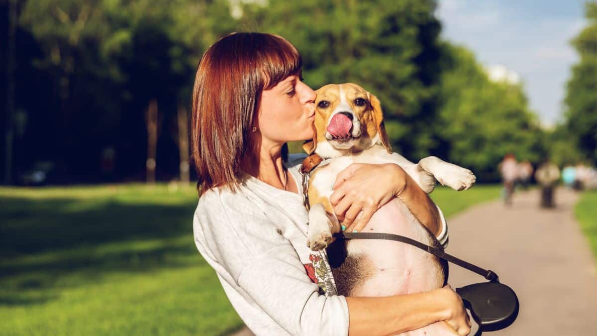 ¡Dale un abrazo a tu lomito! Este 21 de julio es Día del Perro