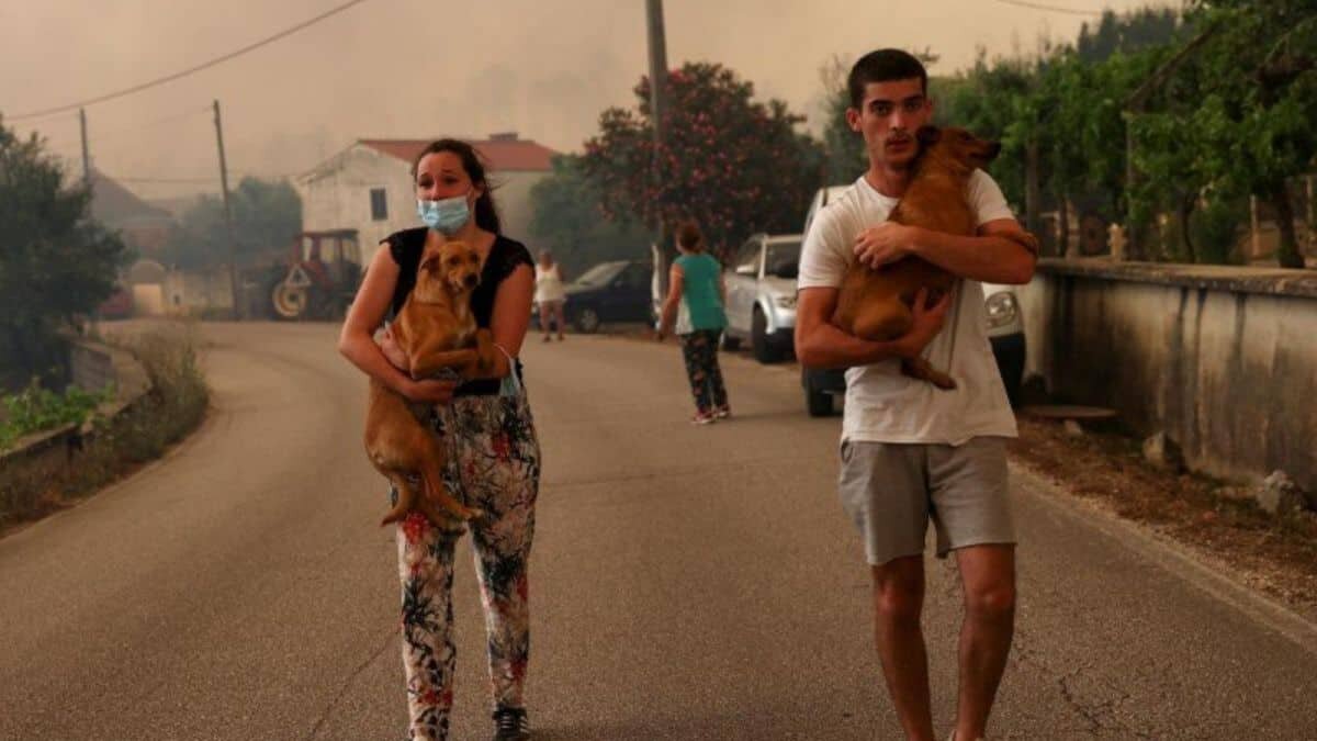 Ola de calor golpea a varios países europeos