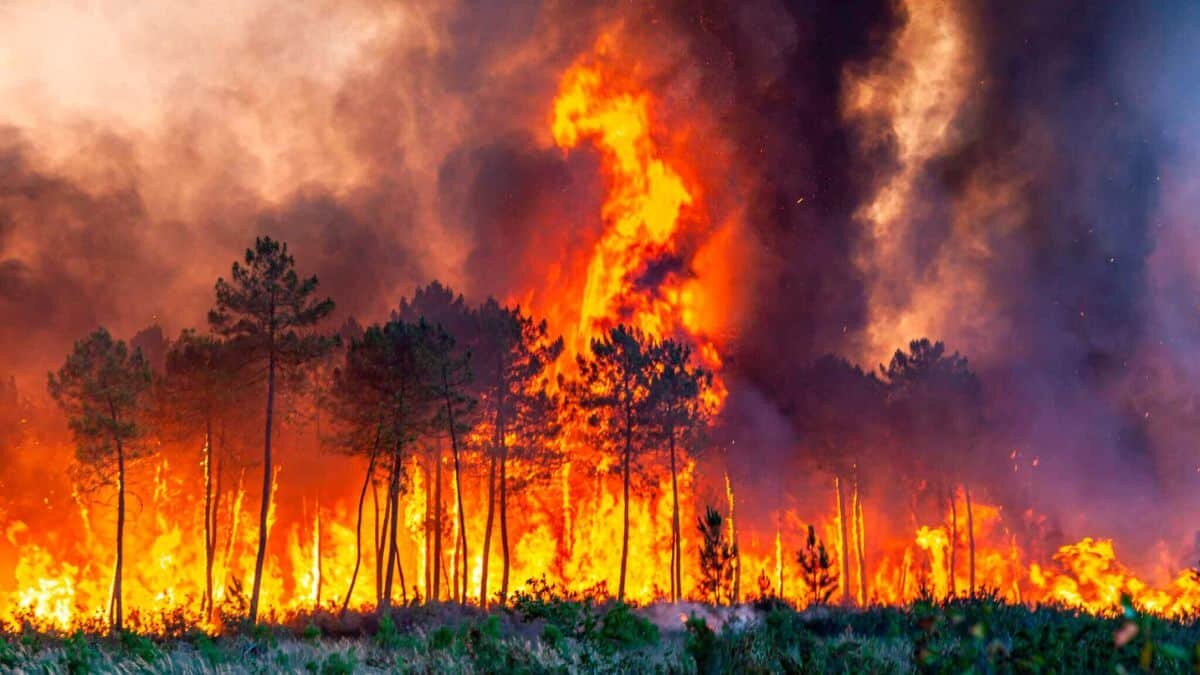 Ola de calor golpea a varios países europeos