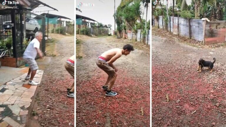 Sorprende perrito internet al jugar la cuerda