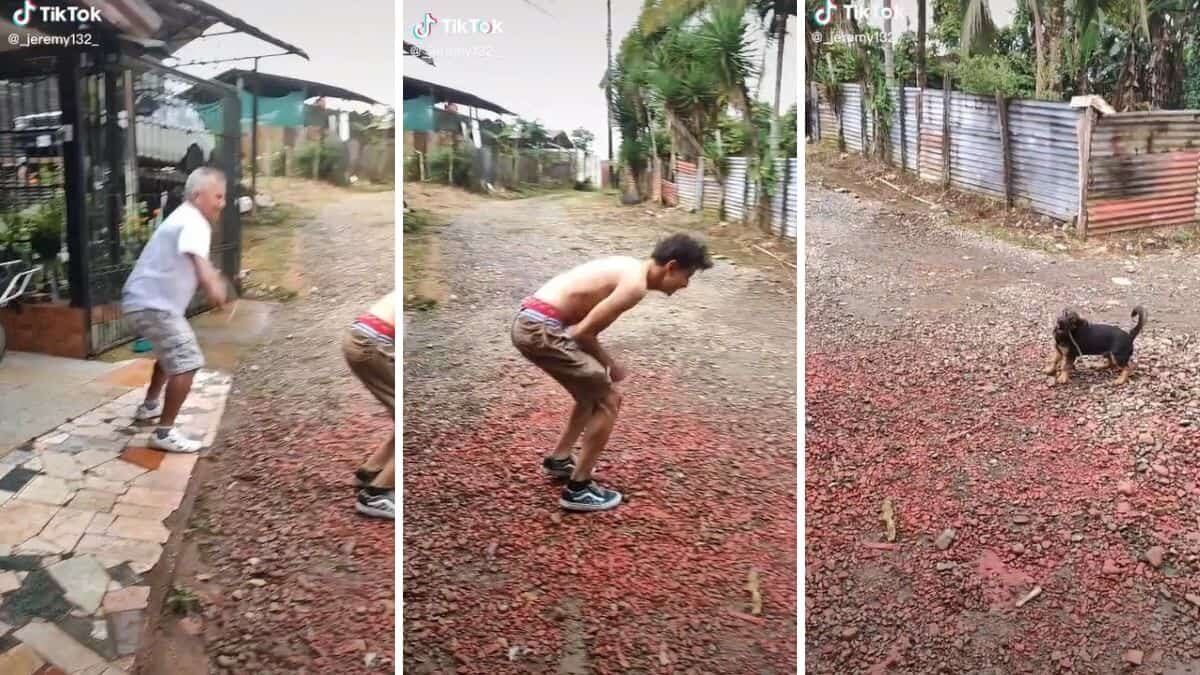 Sorprende perrito internet al jugar la cuerda