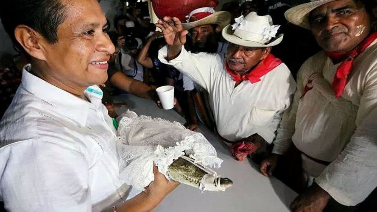 ¡México Mágico! Alcande se casa con un caimán (Video)