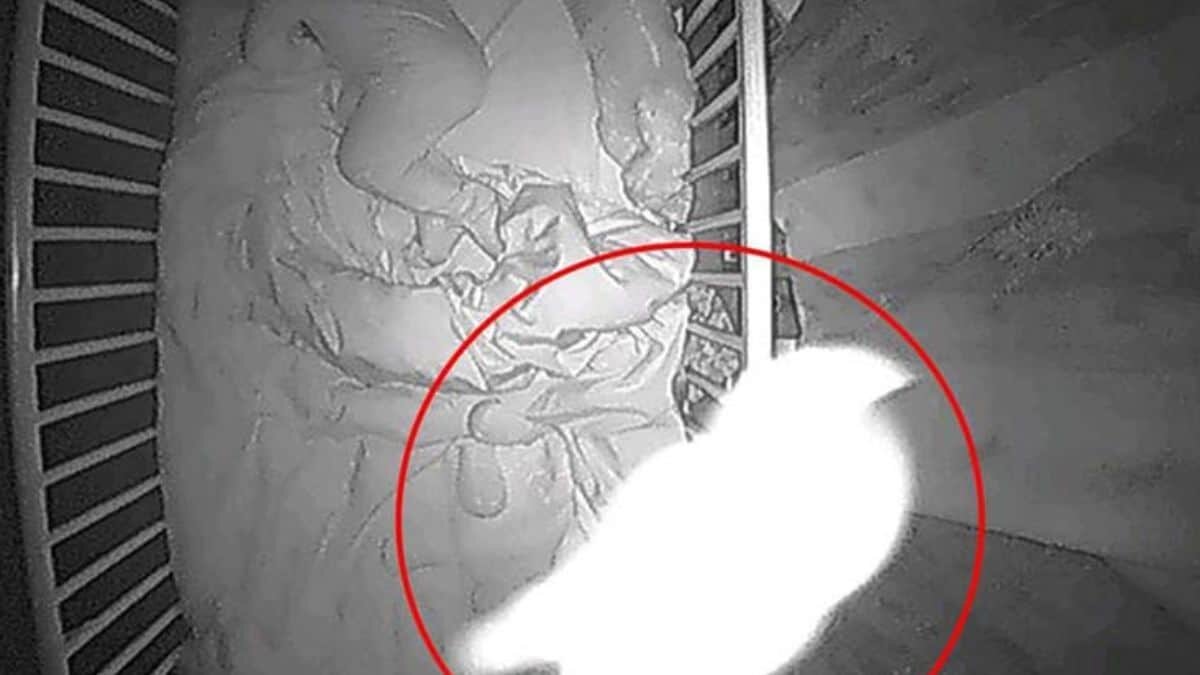¡Qué miedo! Capturan a bebé llorando terroríficamente (Video)