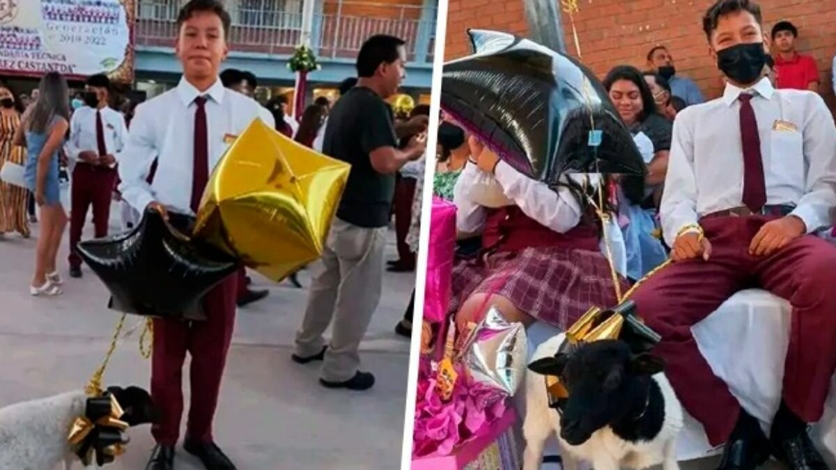 ¡Insólito! Regalan borrego a joven como premio por graduarse