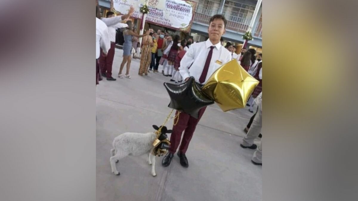 ¡Insólito! Regalan borrego a joven como premio por graduarse
