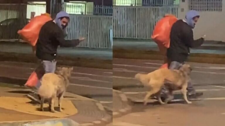 ¡Qué tierno! Indigente enseña a perrito cómo cruzar la calle (Video)