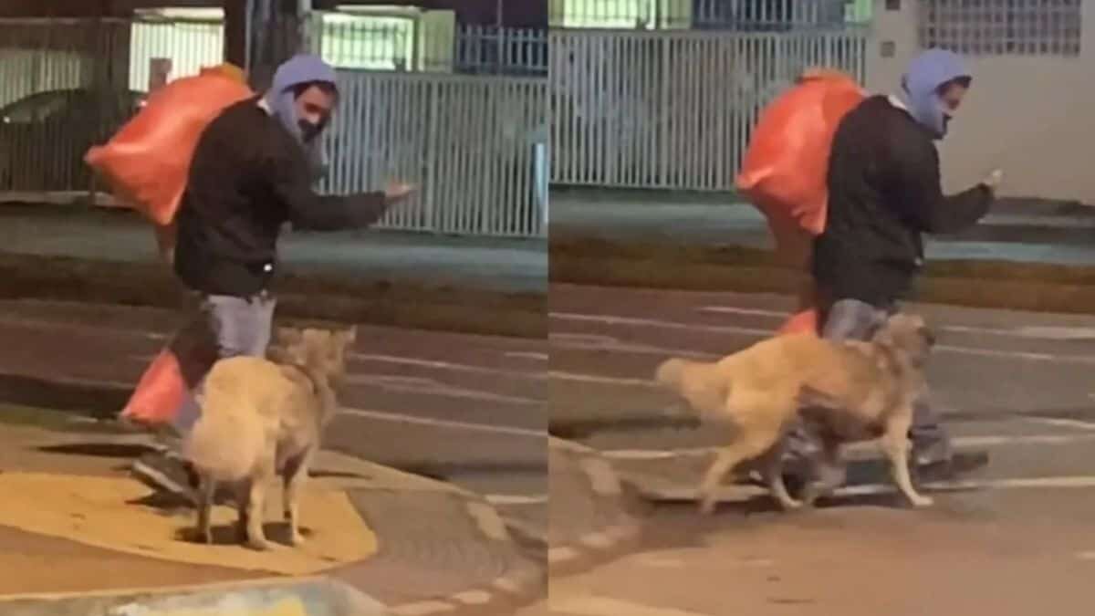 ¡Qué tierno! Indigente enseña a perrito cómo cruzar la calle (Video)