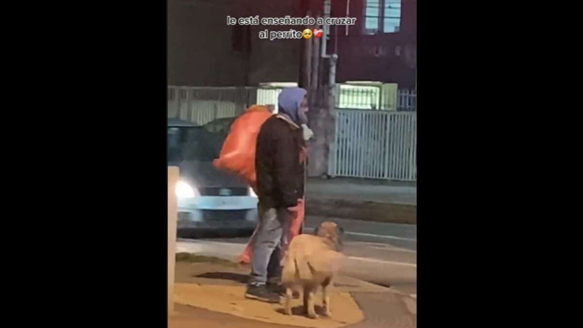 ¡Qué tierno! Indigente enseña a perrito cómo cruzar la calle (Video)