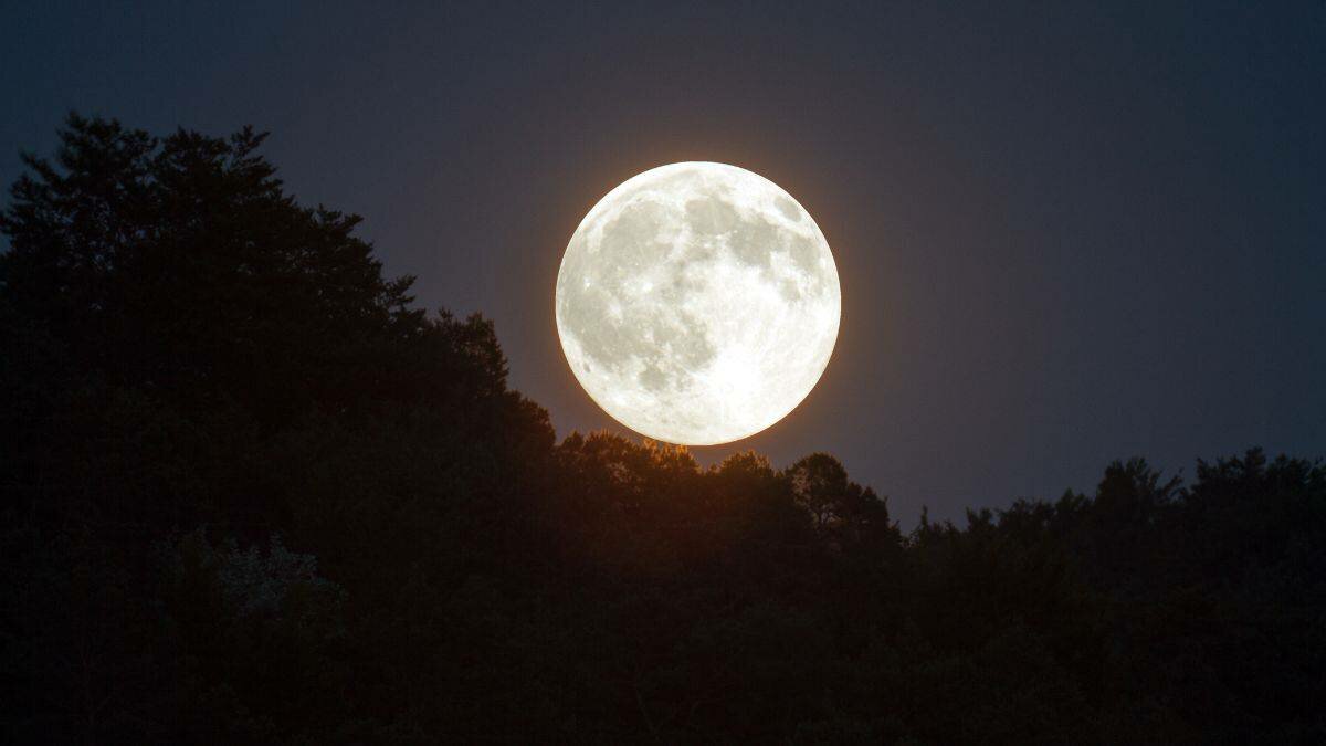 Luna de ciervo 2022: Cómo te afecta y qué signos serán los más afortunados