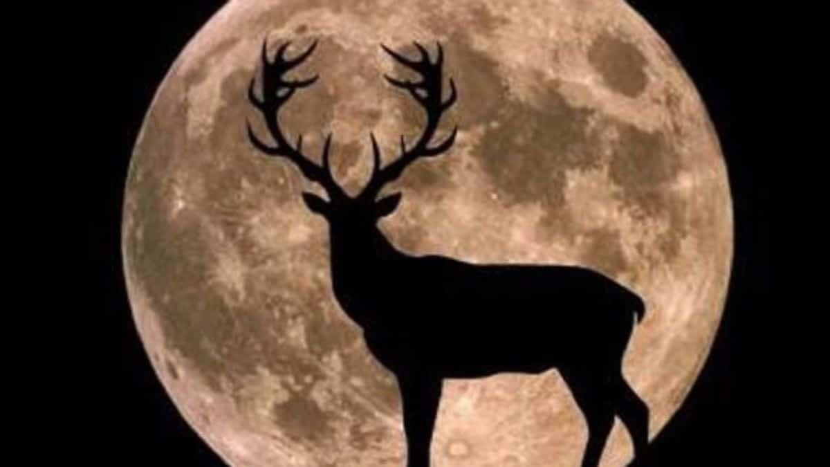 Luna de ciervo 2022: Cómo te afecta y qué signos serán los más afortunados