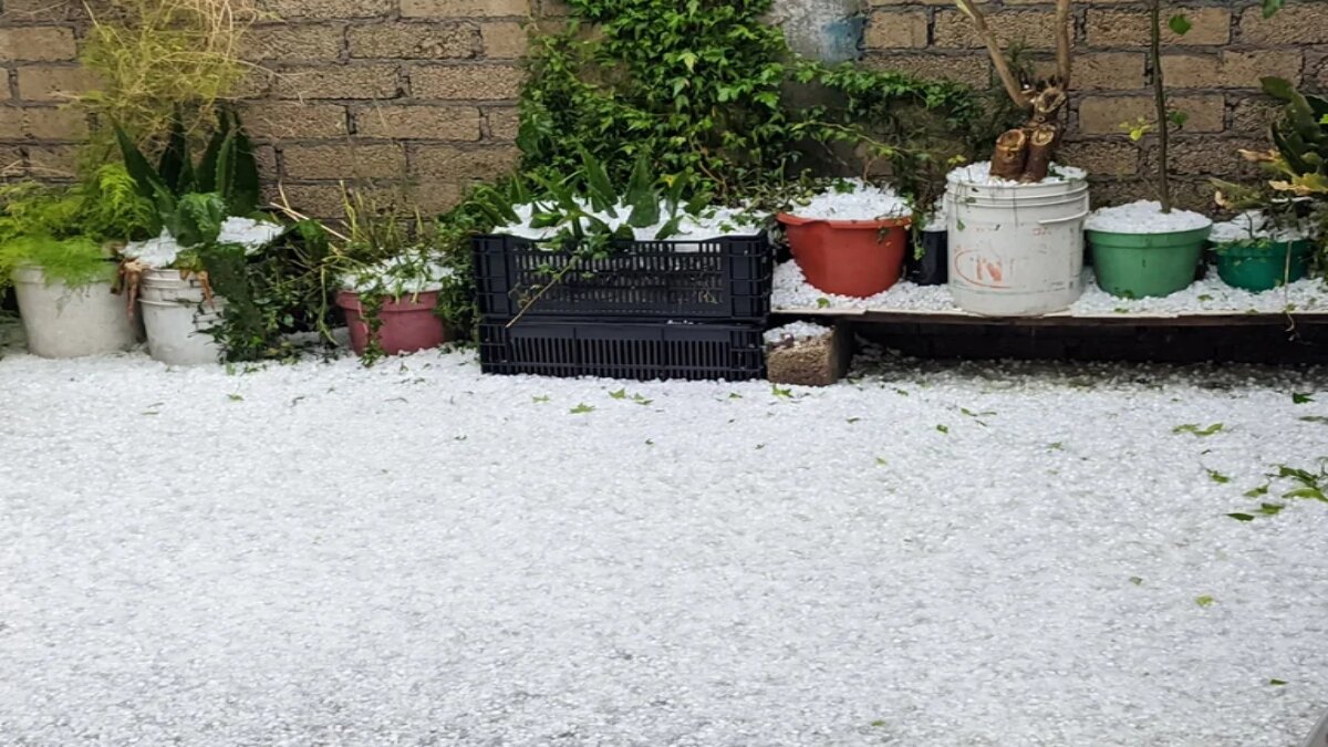 ¡Como piedras! Así fue la granizada que sorprendió a Toluca (Video)