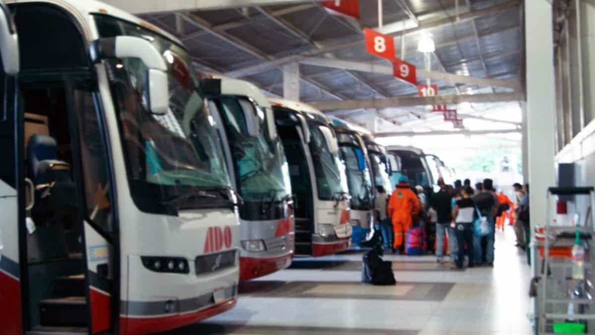 Así podrás obtener descuentos de hasta 50% en autobuses estas vacaciones
