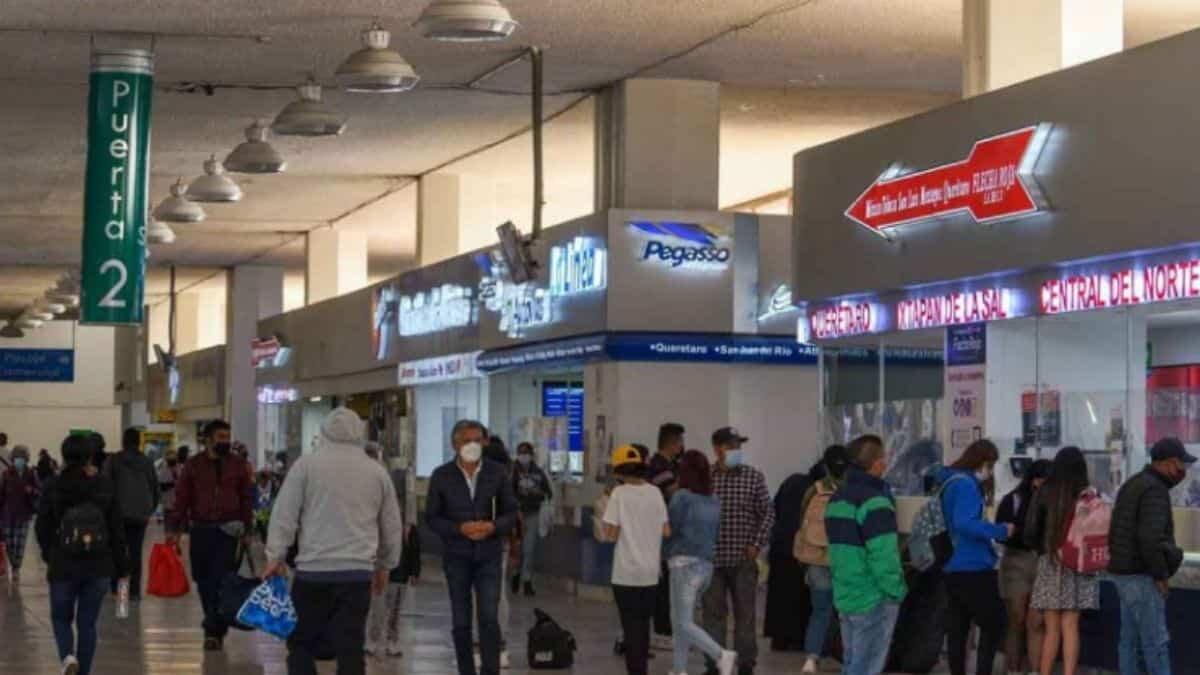 Así podrás obtener descuentos de hasta 50% en autobuses estas vacaciones