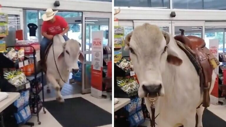 Hombre llega montado en un enorme toro al supermercado
