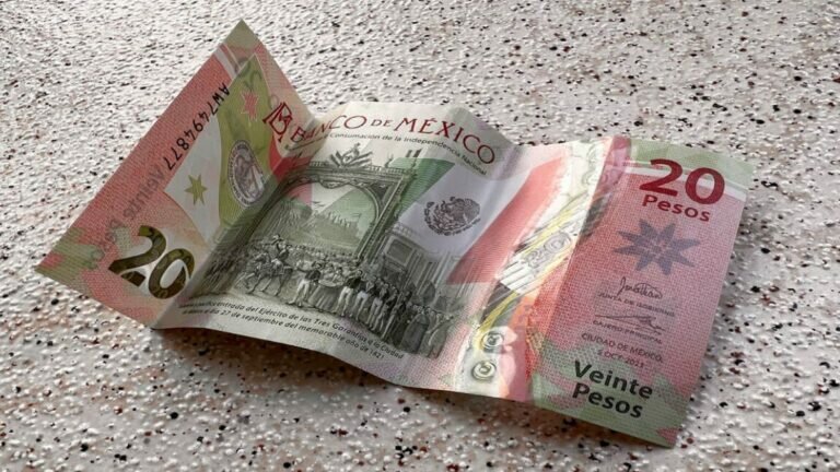 Sacarán de circulación el nuevo billete de 20 pesos