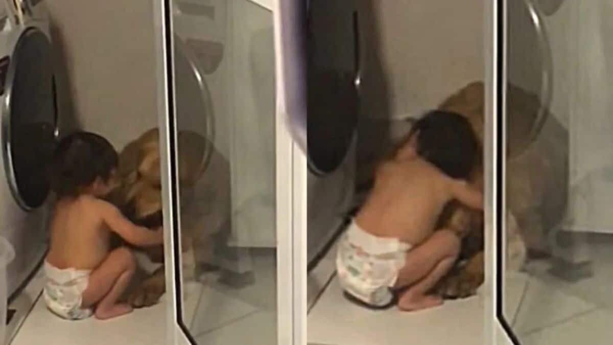 ¡Qué ternura! Niña consuela a perrito asustado por los rayos (Video)