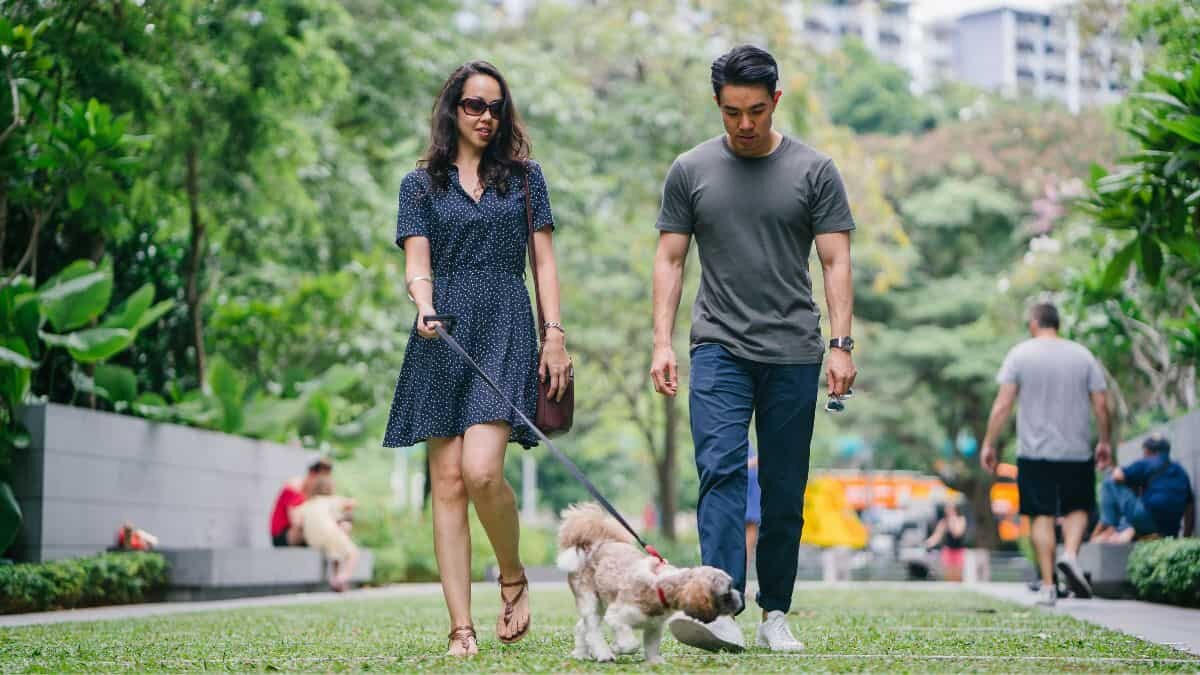 ¡Consiente a tu lomito! Estos son 5 parques para perros en CDMX