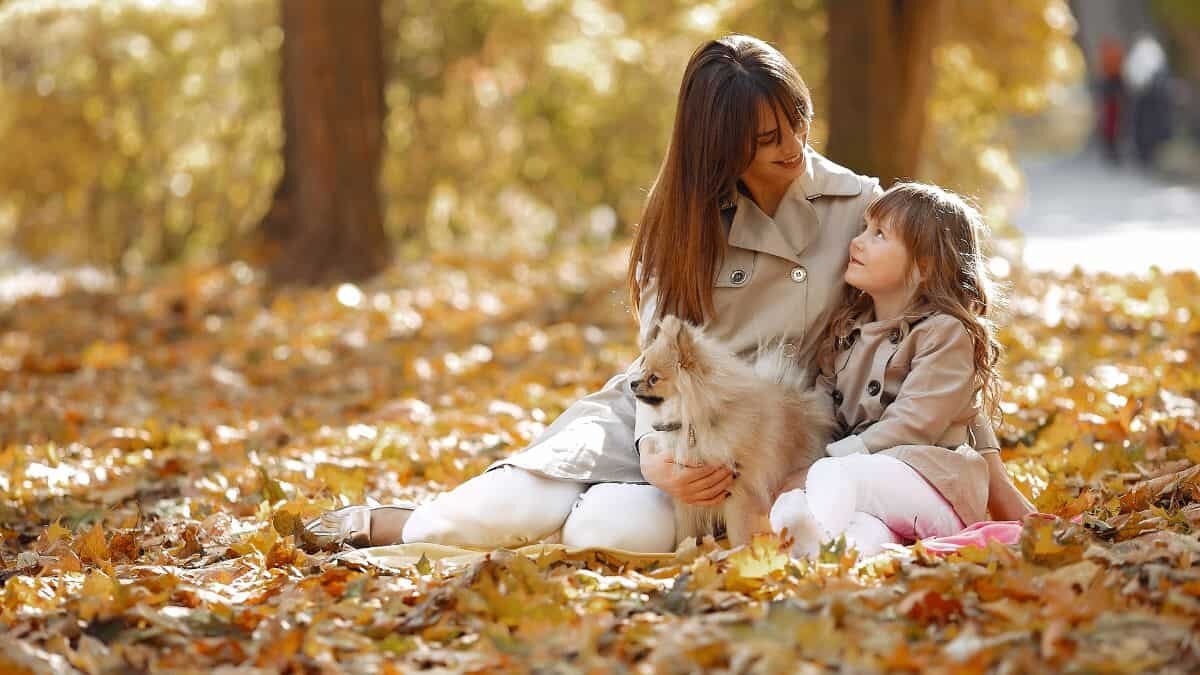 ¡Consiente a tu lomito! Estos son 5 parques para perros en CDMX